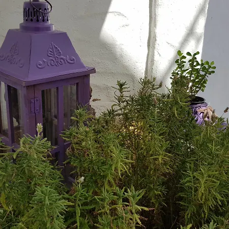 Lejlighedshotel Lavanda 3*
