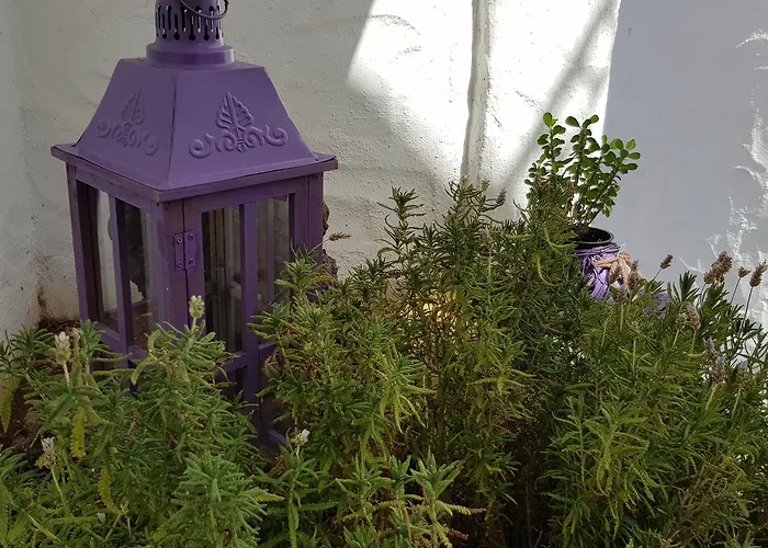 아파트호텔 Lavanda 3*