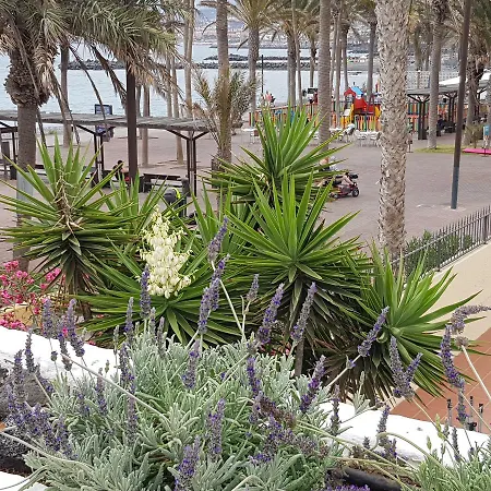 Lavanda Apartahotel 3*
