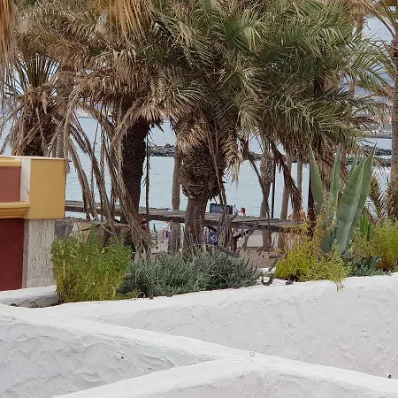 Lavanda Πλάγια ντε λας Αμέρικας