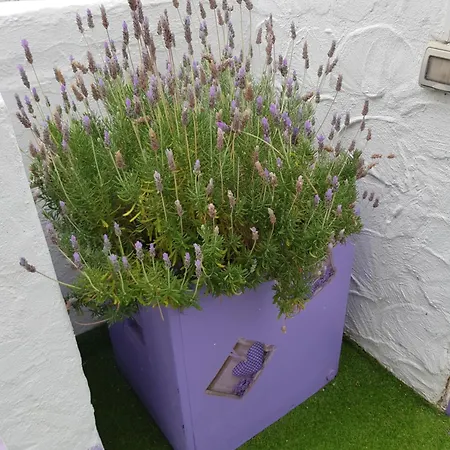 Ξενοδοχείο με διαμερίσματα Lavanda 3*