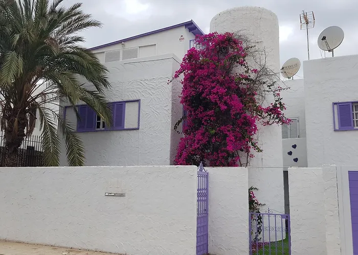 Lavanda Playa de las Américas