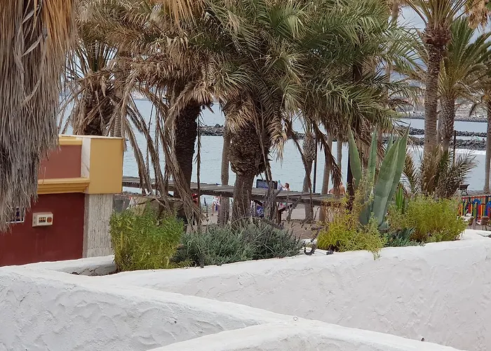 Lavanda Playa de las Américas