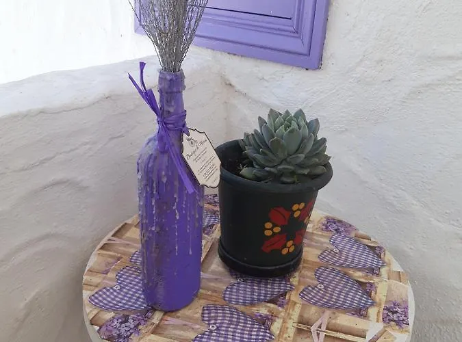 Lavanda Aparthotel Playa de las Américas