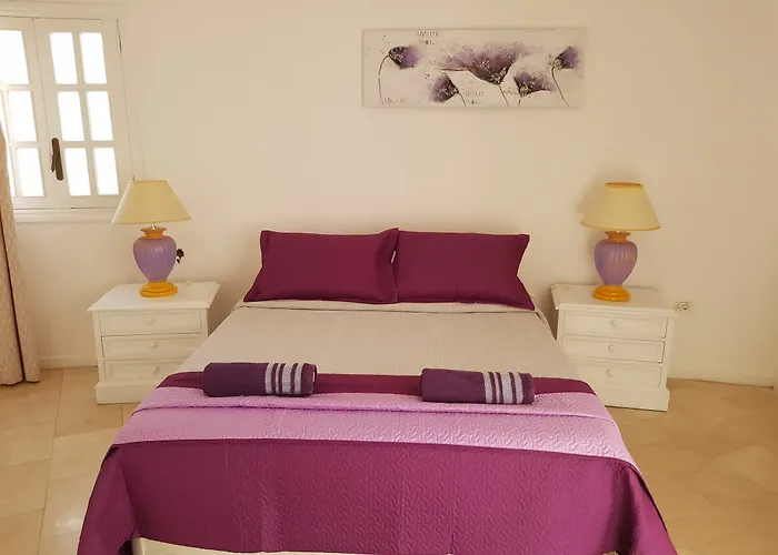 Lavanda Playa de las Américas