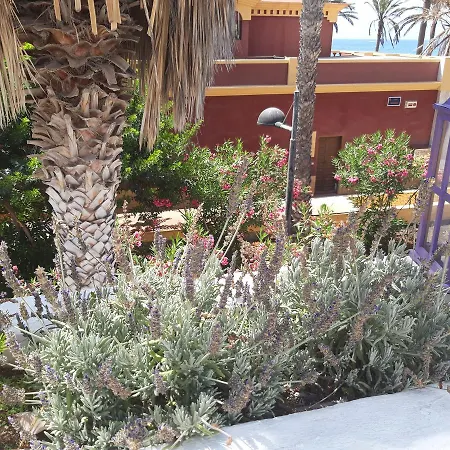 Lavanda