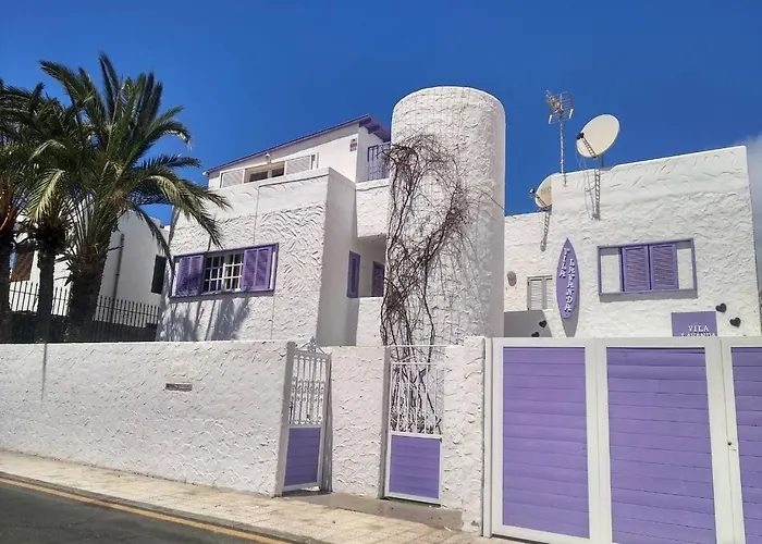 Lavanda 美洲海滩